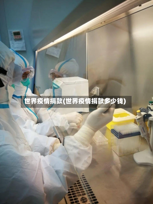 世界疫情捐款(世界疫情捐款多少钱)
