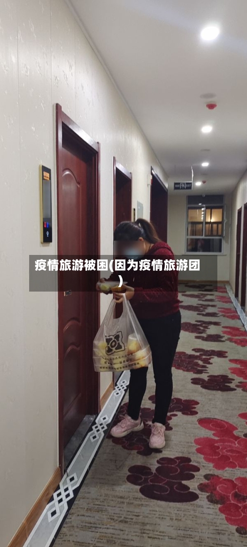 疫情旅游被困(因为疫情旅游团)