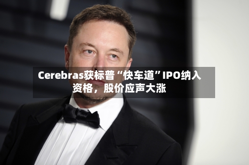 Cerebras获标普“快车道”IPO纳入资格，股价应声大涨