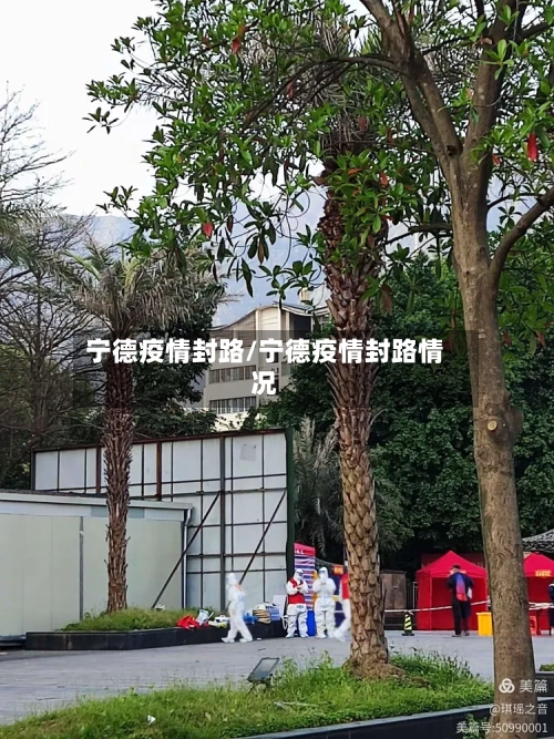 宁德疫情封路/宁德疫情封路情况