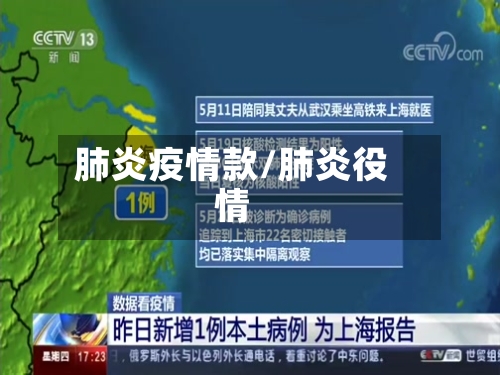 肺炎疫情款/肺炎役情
