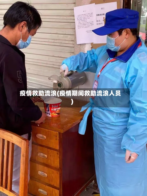 疫情救助流浪(疫情期间救助流浪人员)