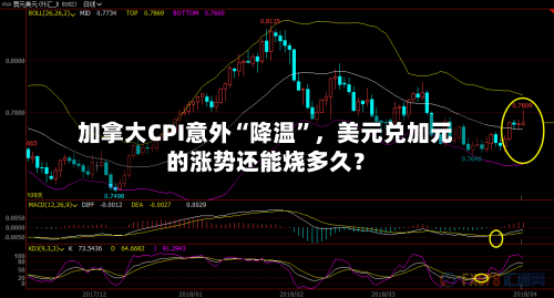 加拿大CPI意外“降温”,美元兑加元的涨势还能烧多久?
