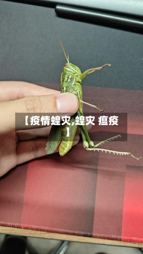 【疫情蝗灾,蝗灾 瘟疫】