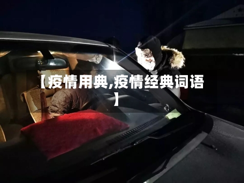 【疫情用典,疫情经典词语】