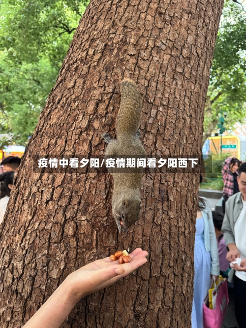 疫情中看夕阳/疫情期间看夕阳西下