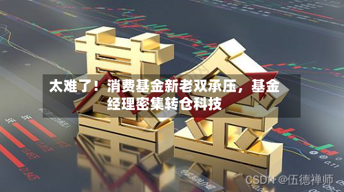 太难了!消费基金新老双承压,基金经理密集转仓科技