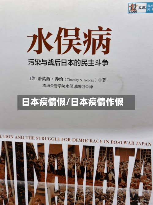 日本疫情假/日本疫情作假