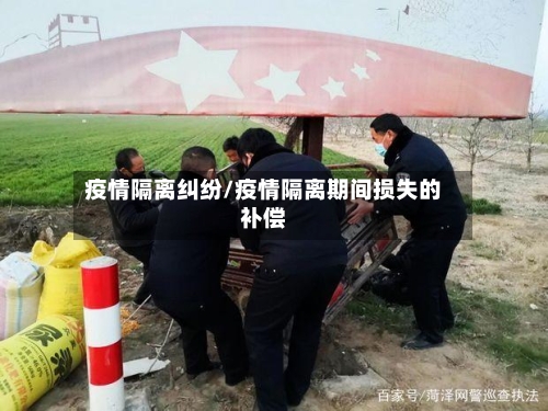 疫情隔离纠纷/疫情隔离期间损失的补偿