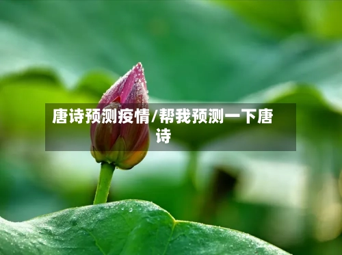 唐诗预测疫情/帮我预测一下唐诗
