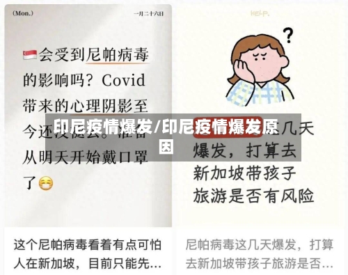 印尼疫情爆发/印尼疫情爆发原因