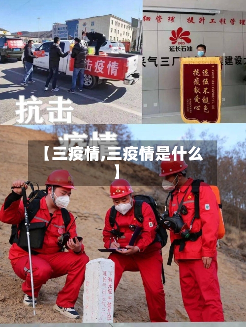 【三疫情,三疫情是什么】