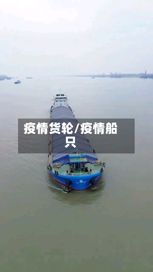 疫情货轮/疫情船只