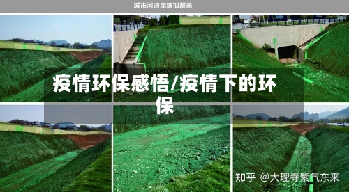 疫情环保感悟/疫情下的环保