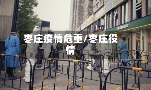 枣庄疫情危重/枣庄役情