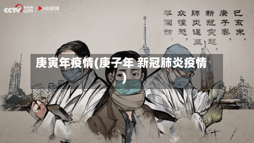 庚寅年疫情(庚子年 新冠肺炎疫情)