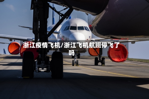 浙江疫情飞机/浙江飞机航班停飞了吗