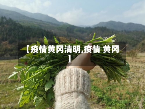 【疫情黄冈清明,疫情 黄冈】