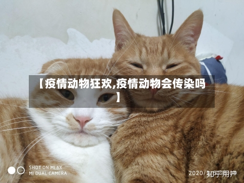 【疫情动物狂欢,疫情动物会传染吗】