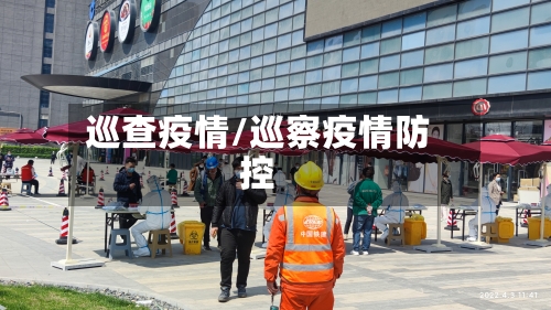 巡查疫情/巡察疫情防控