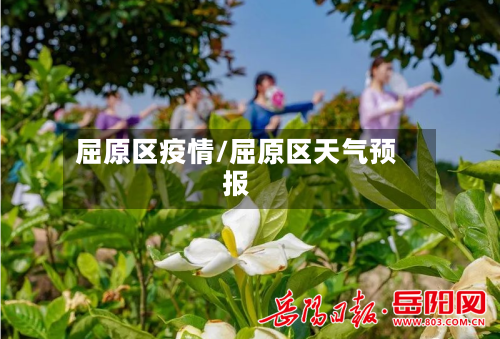 屈原区疫情/屈原区天气预报