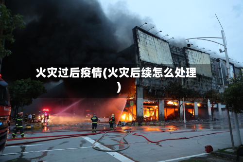 火灾过后疫情(火灾后续怎么处理)