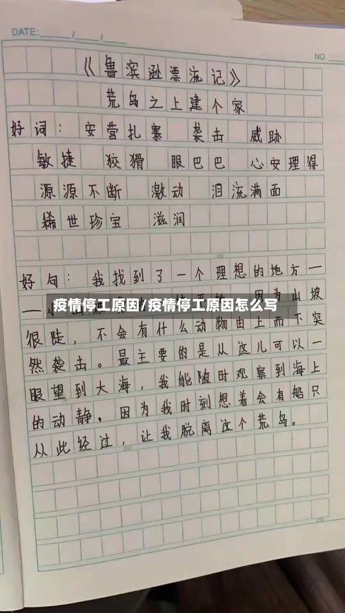 疫情停工原因/疫情停工原因怎么写