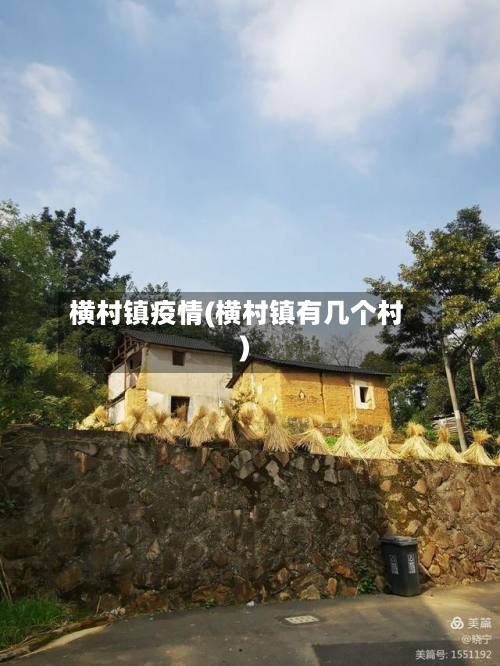 横村镇疫情(横村镇有几个村)