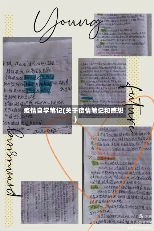 疫情自学笔记(关于疫情笔记和感想)