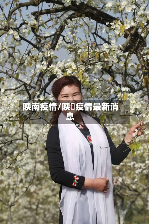 陕南疫情/陕覀疫情最新消息
