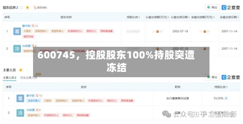 600745,控股股东100%持股突遭冻结