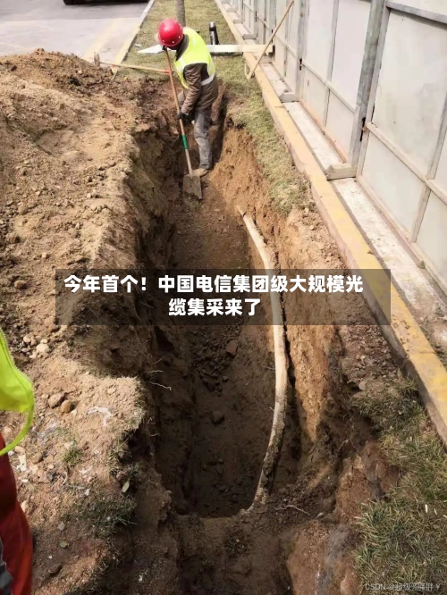 今年首个!中国电信集团级大规模光缆集采来了
