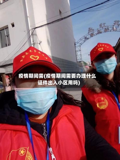 疫情期间需(疫情期间需要办理什么证件出入小区用吗)