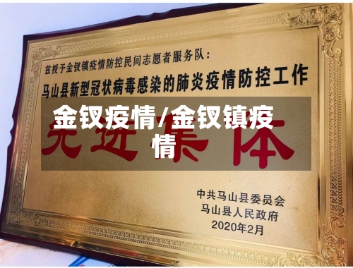 金钗疫情/金钗镇疫情