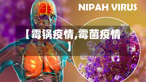 【霉锅疫情,霉菌疫情】