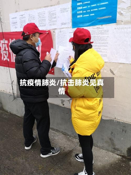 抗疫情肺炎/抗击肺炎见真情