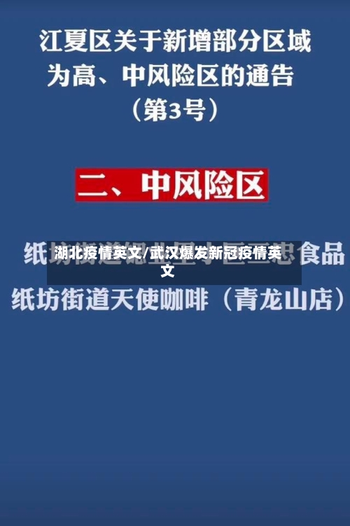 湖北疫情英文/武汉爆发新冠疫情英文