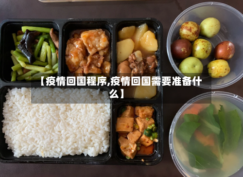 【疫情回国程序,疫情回国需要准备什么】