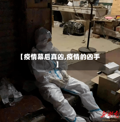 【疫情幕后真凶,疫情的凶手】