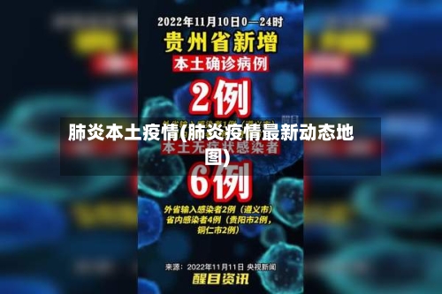 肺炎本土疫情(肺炎疫情最新动态地图)