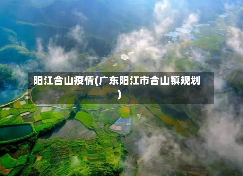阳江合山疫情(广东阳江市合山镇规划)