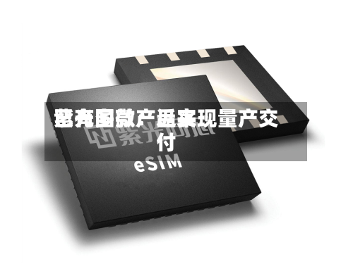 紫光国微：近来已有多款产品实现量产交付