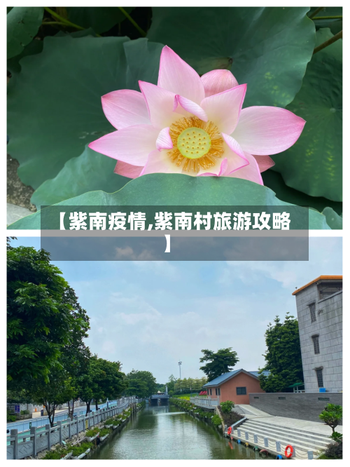 【紫南疫情,紫南村旅游攻略】