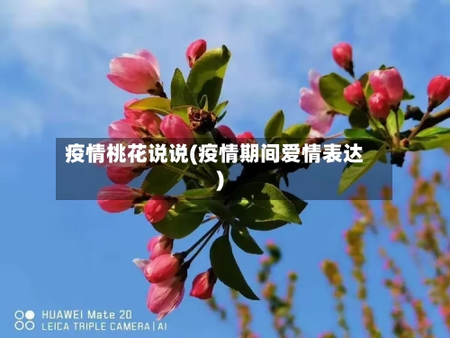 疫情桃花说说(疫情期间爱情表达)