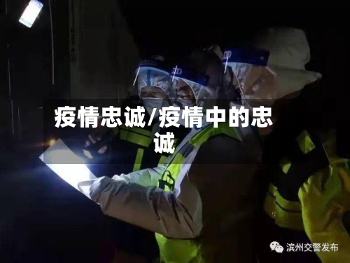 疫情忠诚/疫情中的忠诚