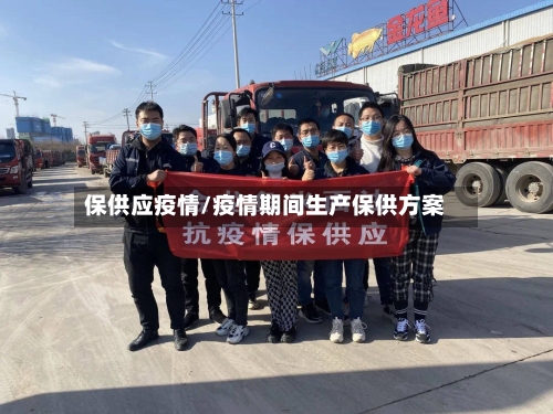 保供应疫情/疫情期间生产保供方案