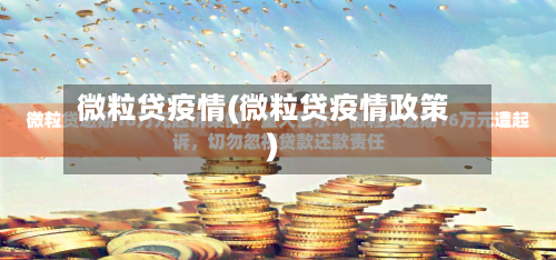 微粒贷疫情(微粒贷疫情政策)