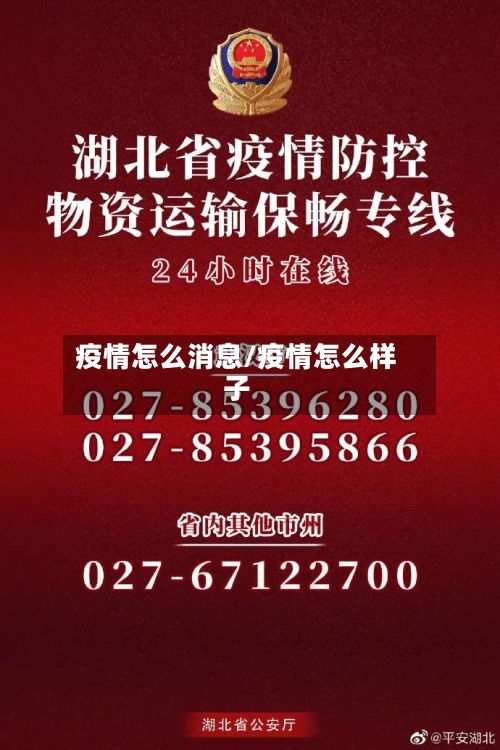 疫情怎么消息/疫情怎么样子