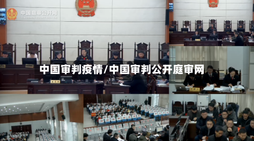 中国审判疫情/中国审判公开庭审网