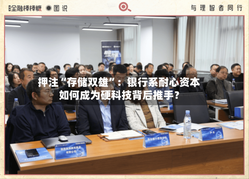 押注“存储双雄”：银行系耐心资本如何成为硬科技背后推手？
